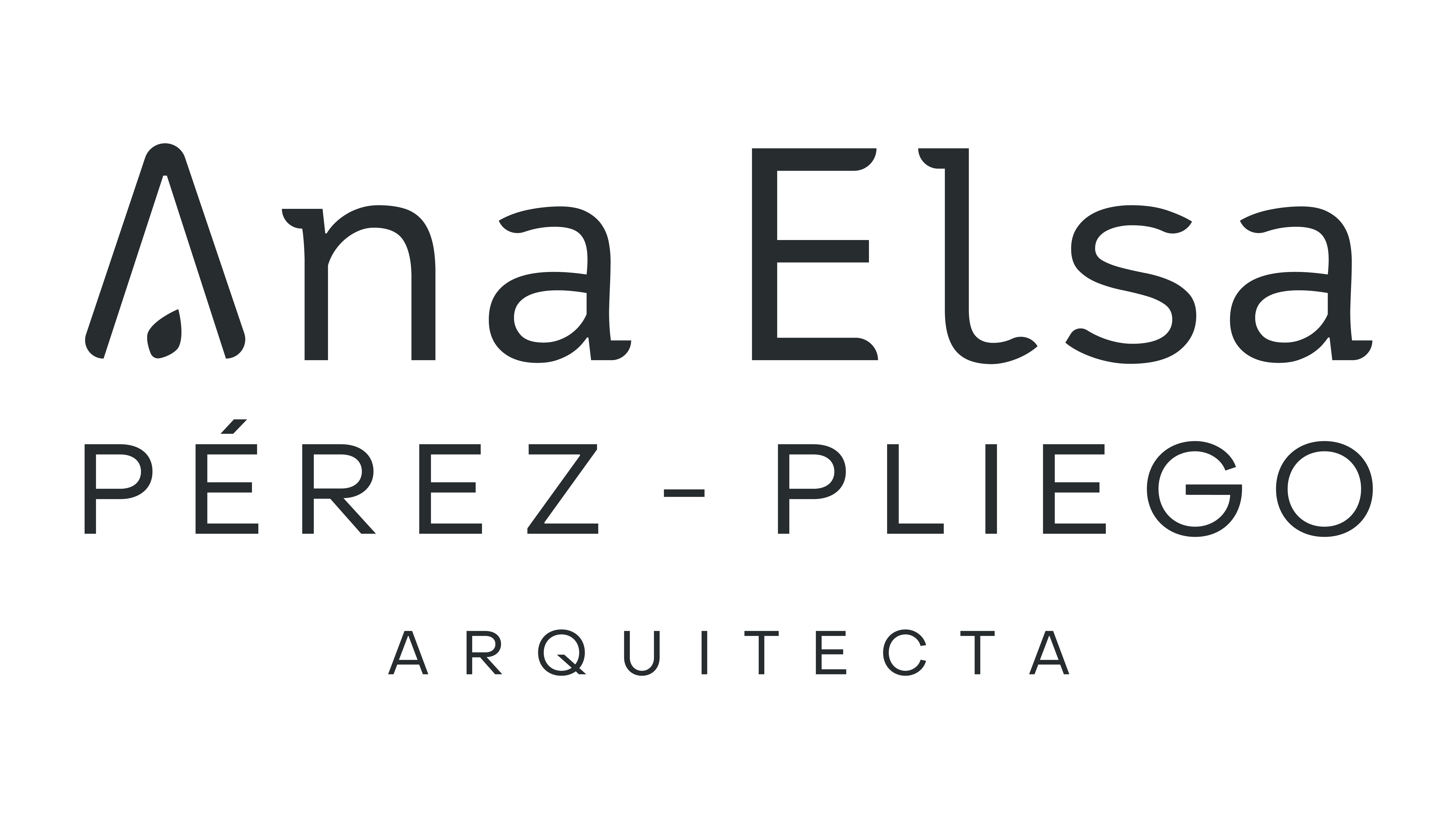 Ana Elsa Perez Pliego